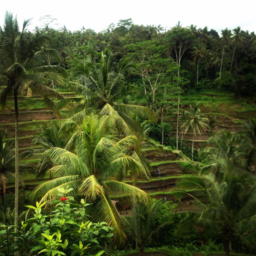 Mano House Ubud Exterior foto