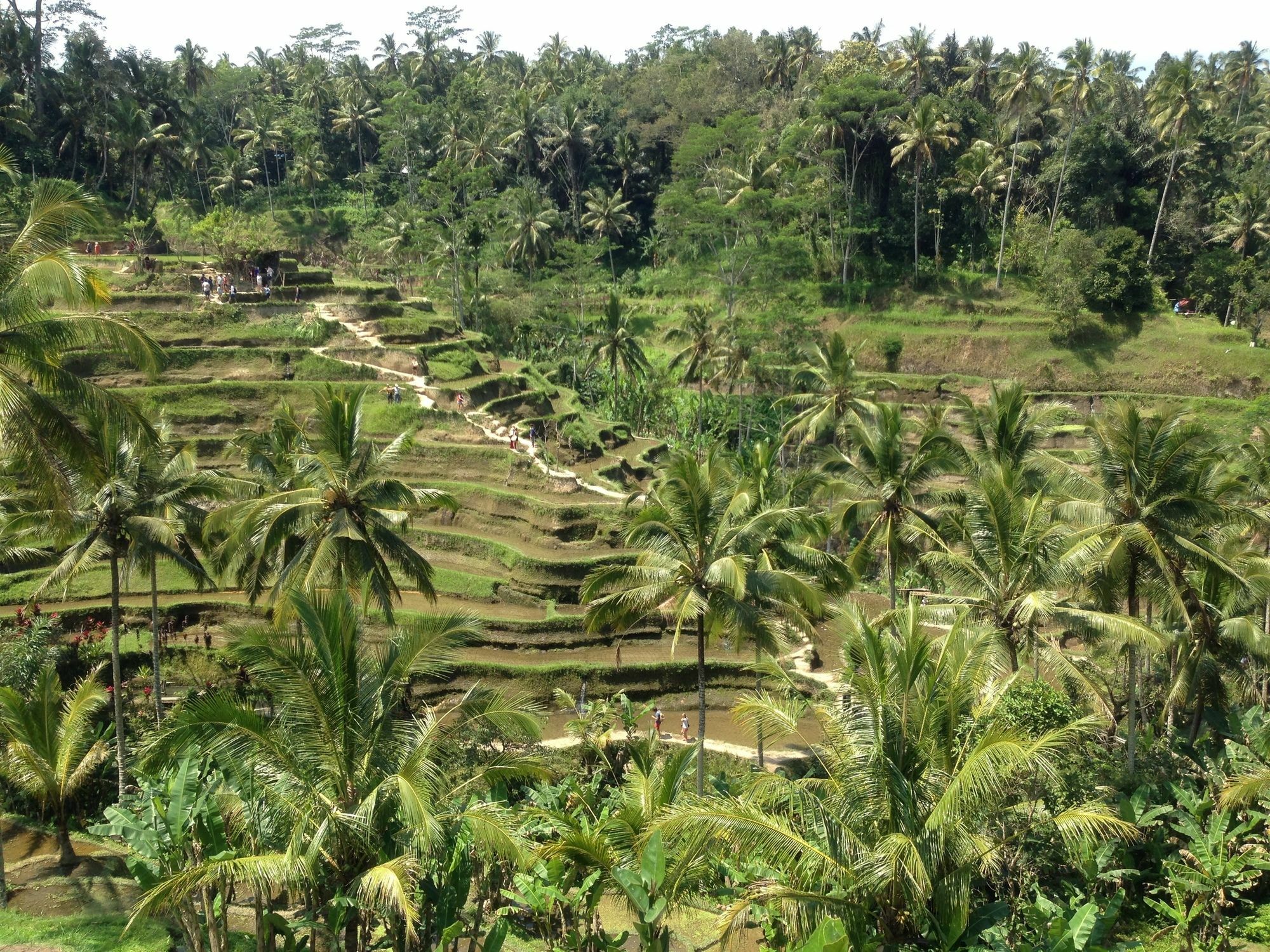 Mano House Ubud Exterior foto